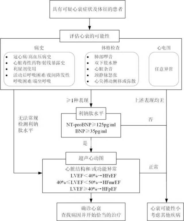 慢性心衰的诊断流程