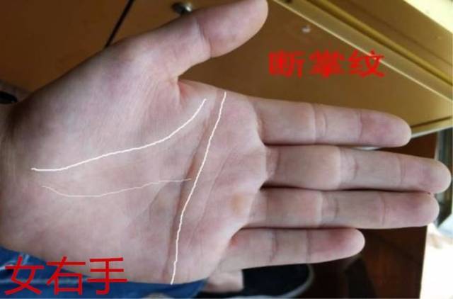 手相断掌纹对人生运势的吉凶影响_手机搜狐网