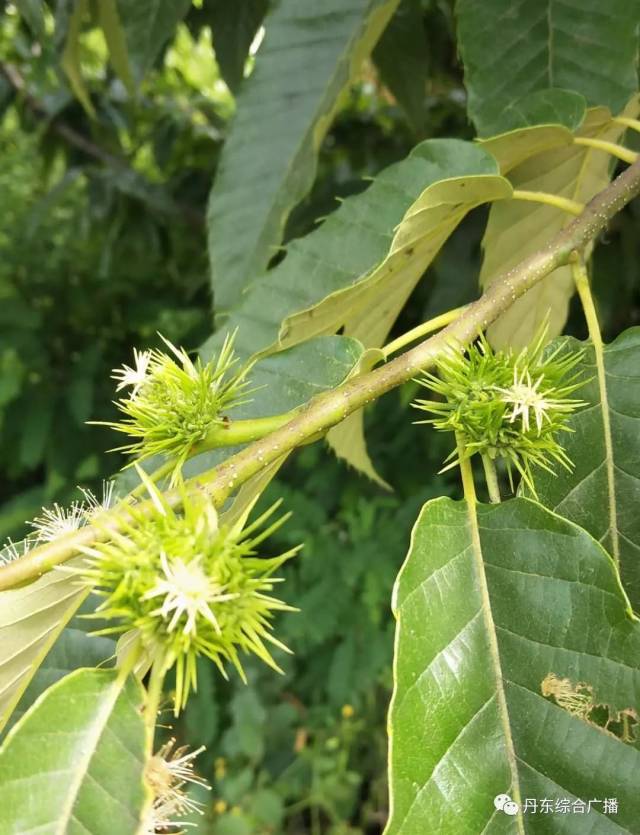 天氣預報/明日預告/隨手