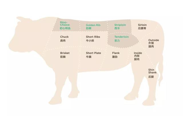 伊赛牛肉分部位图图片