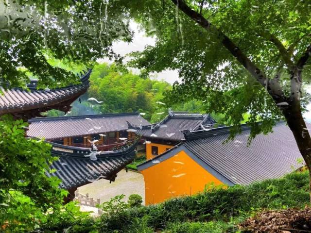 高界文化携手德清佛教协会会长大憨法师,共赴莫干山高峰禅寺,品味"艺