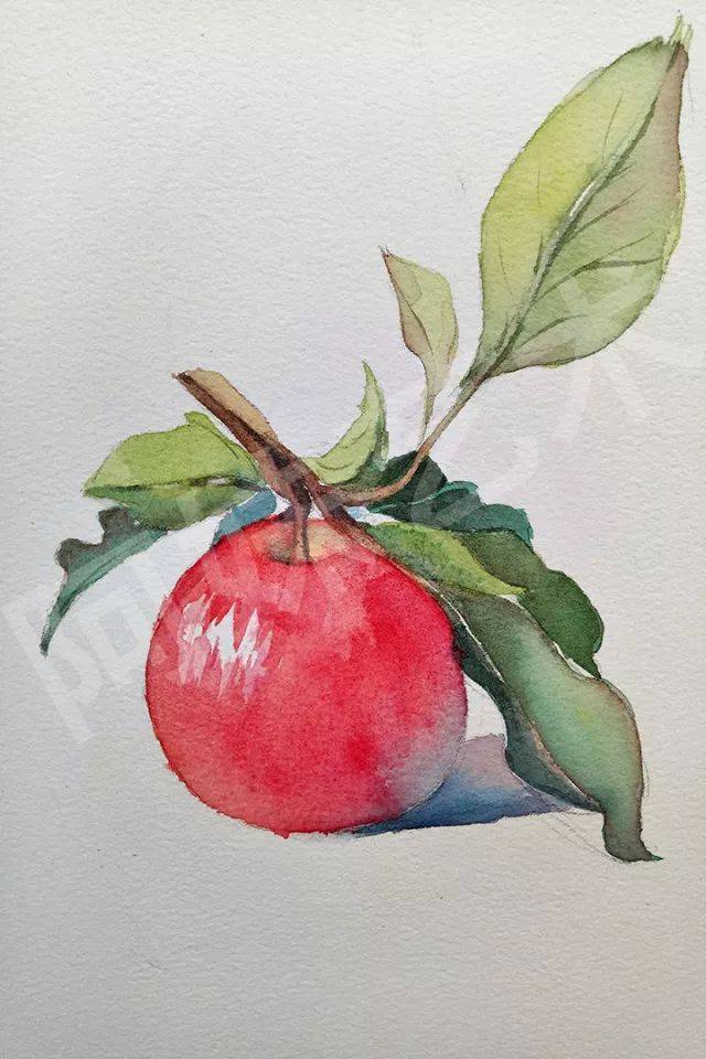 水彩苹果就应该这样画丨水彩系列(4)