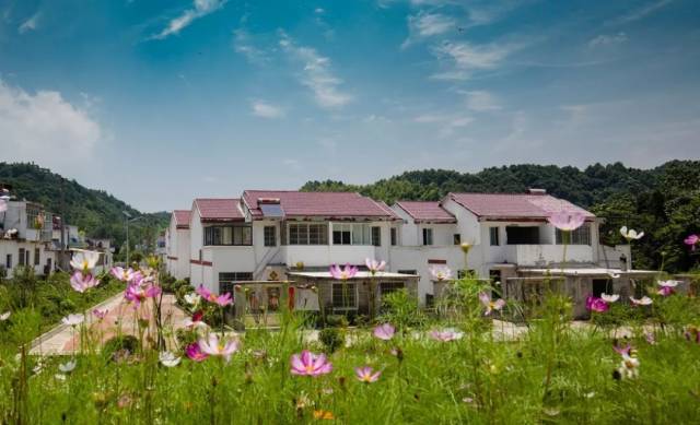 【美丽山村,我的家】梅山镇三湾村