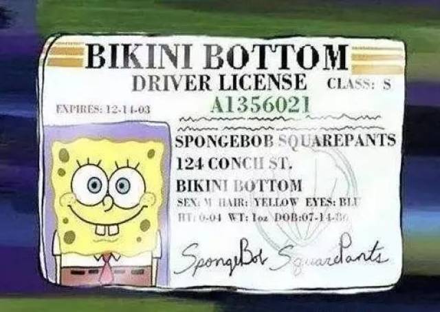 "海绵宝宝:派大星,我今天生日啦"_手机搜狐网