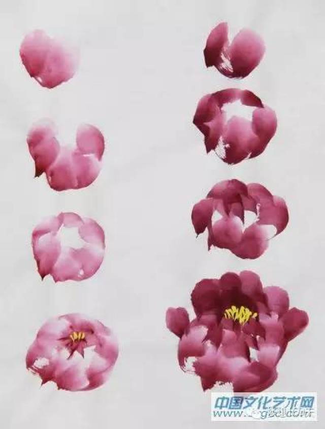 国画牡丹的步骤画法（真美丽！）