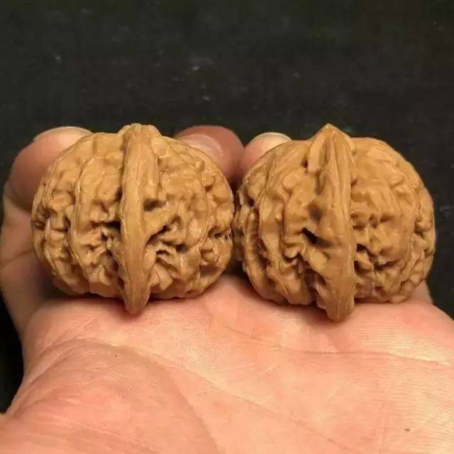新入荷❤️No.872❤️文玩くるみ（文玩核桃） 精配 佛龛官帽 文玩核桃能造假你知道吗？老玩家教你几招马上辨真假！_搜狐网
