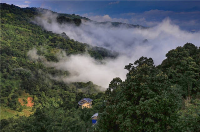 "七彩云南·秘境百马"第五十八站跑进南糯山