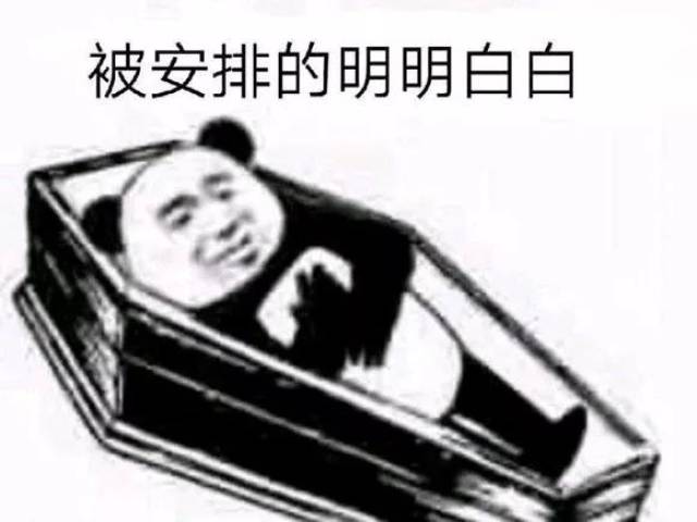 安排是什么梗