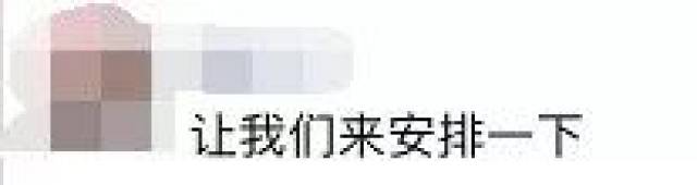 安排是什么梗