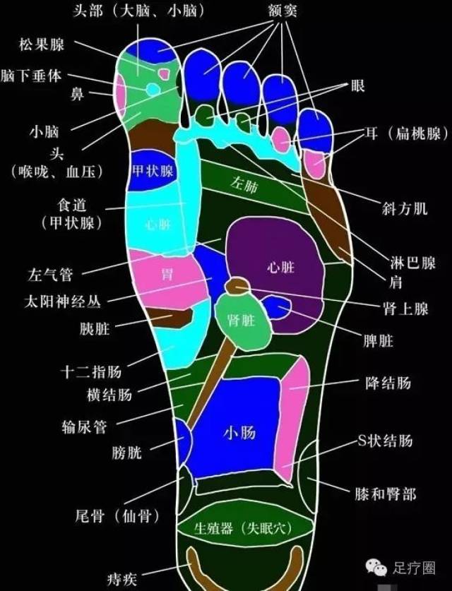 養生從腳開始:腳底穴位圖按摩