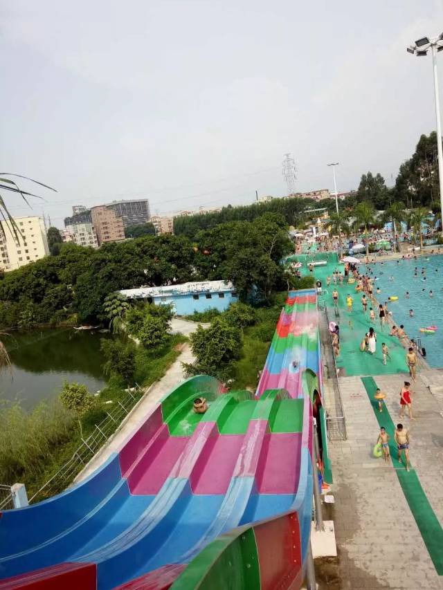 水上乐园免门票啦!常平金竹湾游乐园承包你的整个夏季
