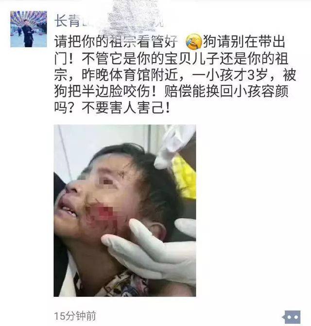 鄠邑区一母亲采野蘑菇做饭 三人食物中毒 小女儿身亡