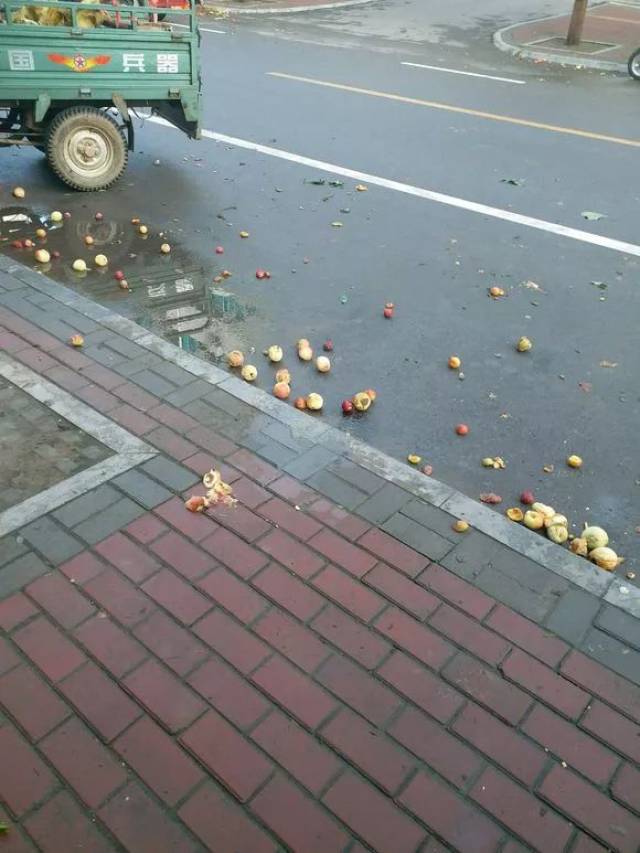 嵩县文化路住户每天的苦恼!