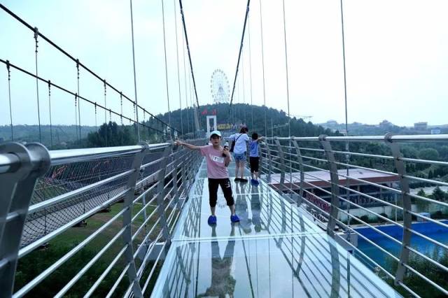 五龙山玻璃吊桥突然破裂,游客:这效果太逼真了!_手机搜狐网