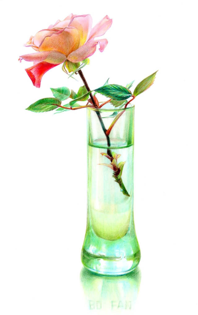 彩铅教程|如何才能画好玻璃花瓶