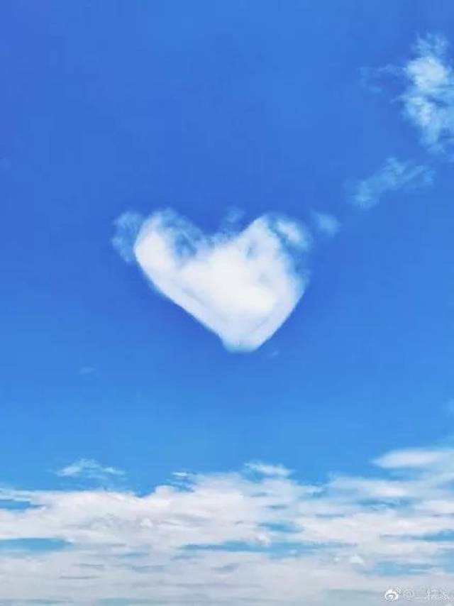 雅秀红花 爱就像蓝天白云,晴空万里