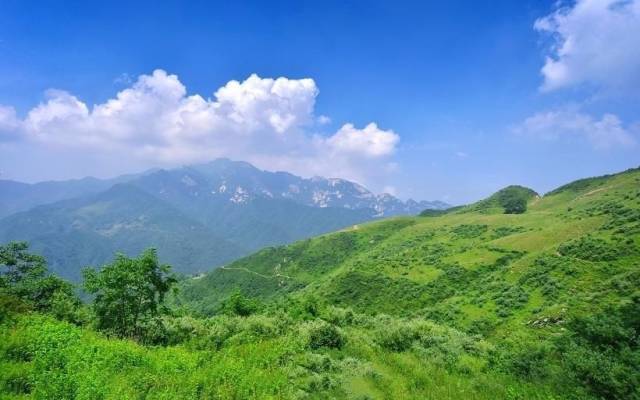 西安最近的高山牧場——待在深閨中的流峪草甸