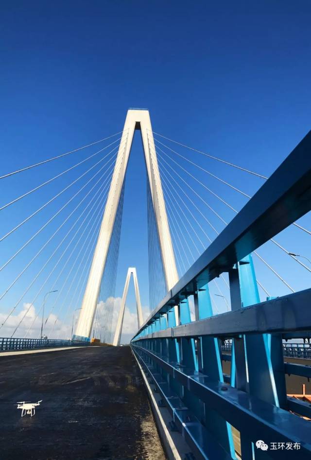 乐清湾大桥图片