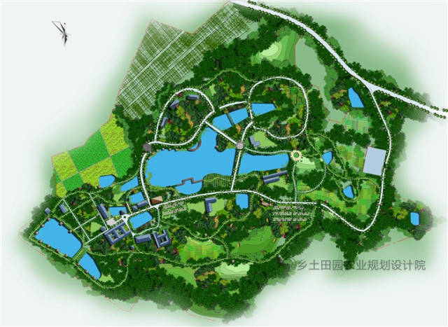 50亩生态园规划图图片