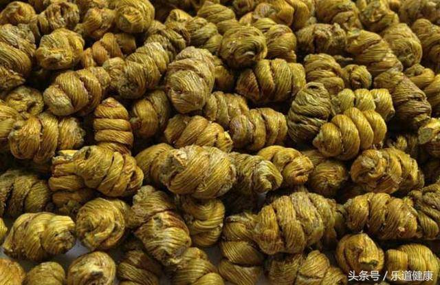 肝炎,胆囊炎,胆结石,不起眼的野草,能治头晕乏力,口干舌燥