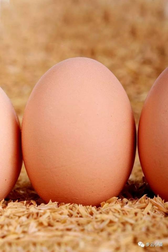 一枚寻常的鸡蛋 也不忘初心 相信爱情 能滋养我的生活 也相信一枚鸡蛋