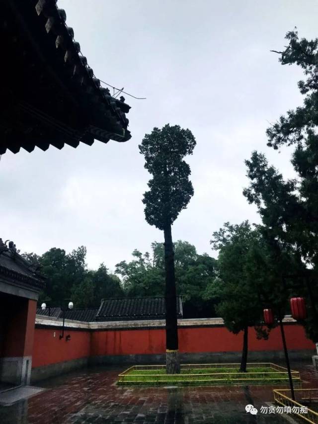 北京圆明园正觉寺,很少有人进去!