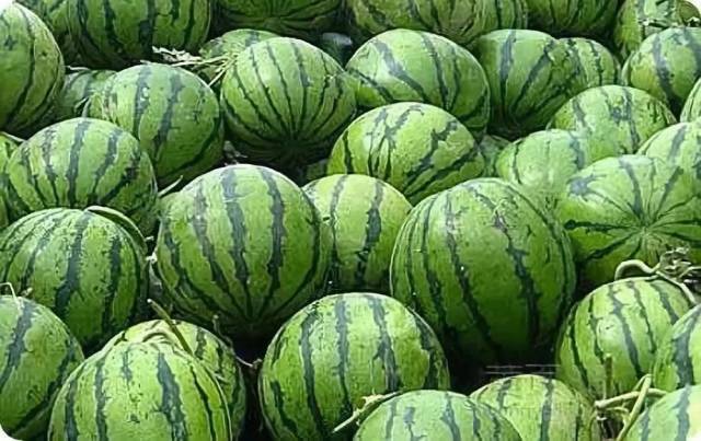 人生八雅 咏西瓜 www.52shici.com 诗词吾爱网