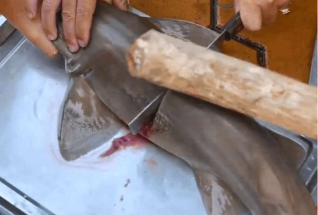 实拍大妈街宰鲨鱼,钝刀不断切割!网友:这鱼是被疼死的!