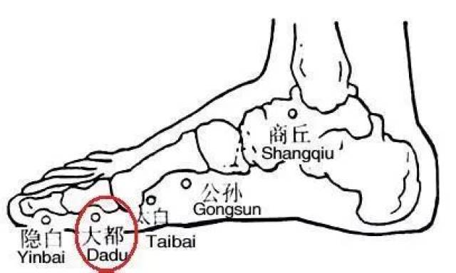 大都,太白,公孙,商丘,三阴交,脾胃经上的除湿热大穴要劳记_手机搜狐网