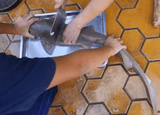 实拍大妈街宰鲨鱼,钝刀不断切割!网友:这鱼是被疼死的!