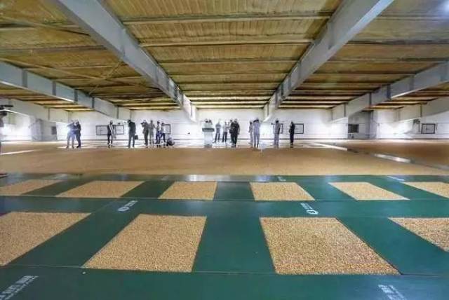 中央新闻单位采访团走进大国粮仓——中储粮集团辽宁分公司举办媒体