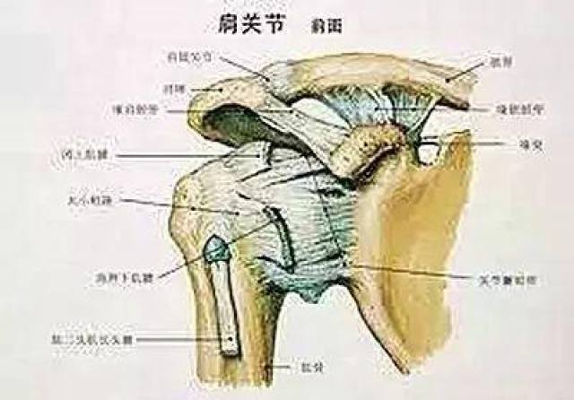肩周炎医院排名_肩周炎图片(2)