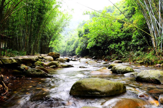 廣東肇慶西江紫雲谷避暑 溯溪戲水 泡潭子玩水 休閒一天遊