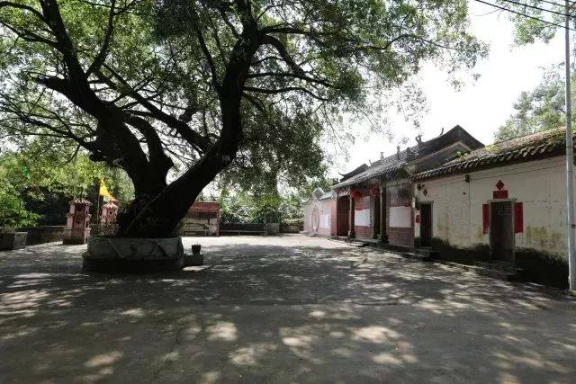 《人文惠州》马安龙塘村传承文氏兄弟遗风