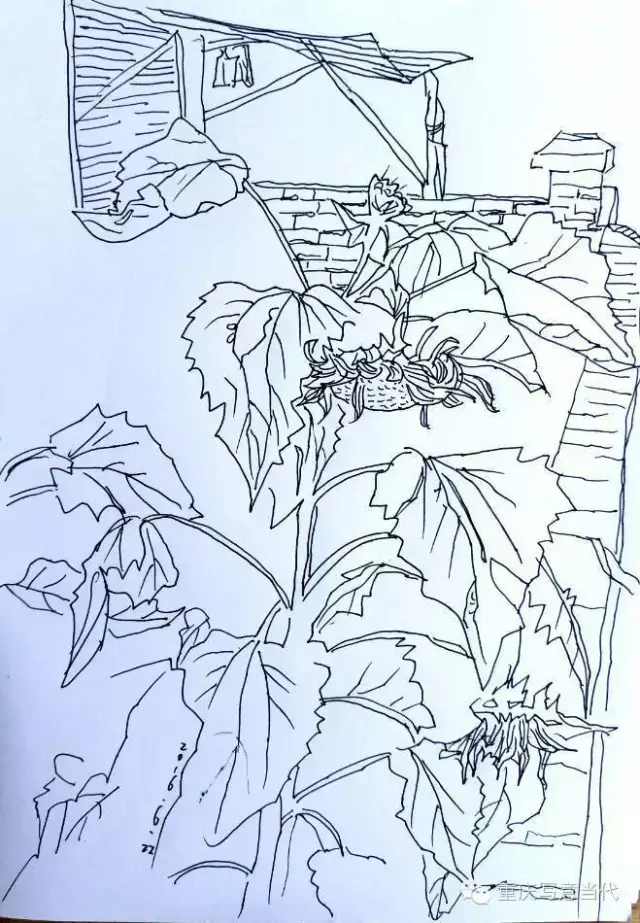 速写花丛,风景速写花丛,速写风景画临摹_大山谷图库