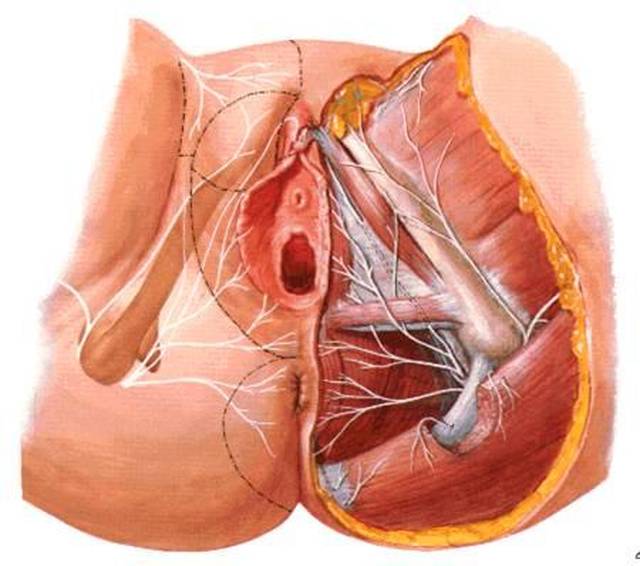 女性盆底肌修复的最佳时期是什么时候