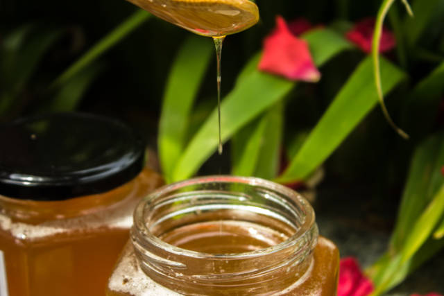 蜂蜜与什么相克能克死人(蜂蜜与什么相克会中毒) 蜂蜜与什么相克能克死人(蜂蜜与什么相克会中毒)