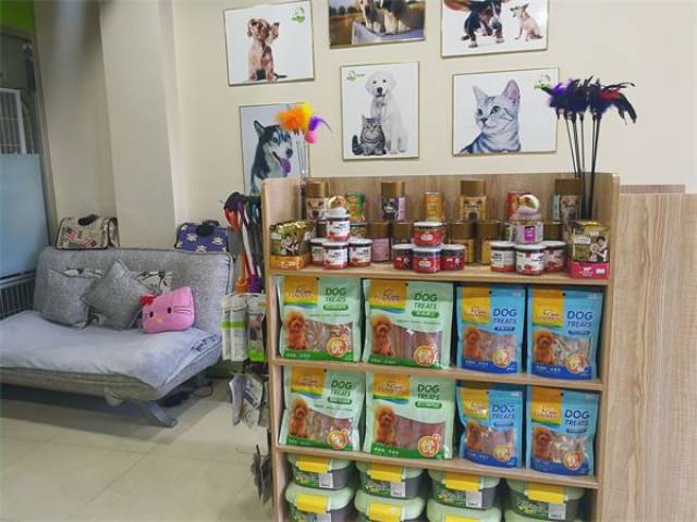 【星级宠物店】辽宁竟然开了家这么舒适的轻奢宠物店!毛孩子变慵懒!