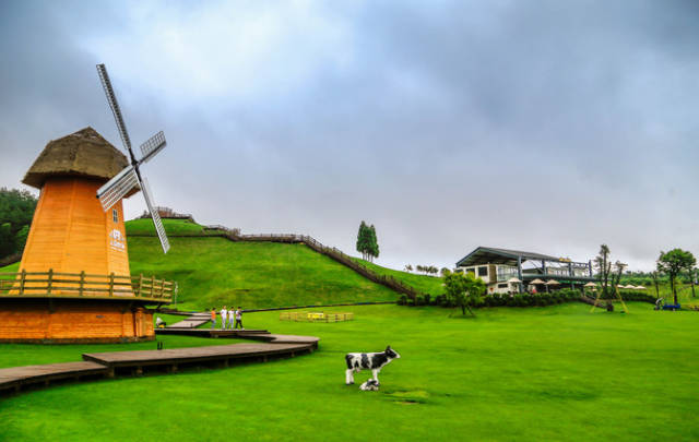 泰顺云岚牧场,一座澳洲风情休闲度假牧场