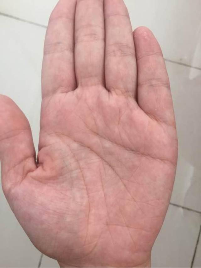 手机搜狐网