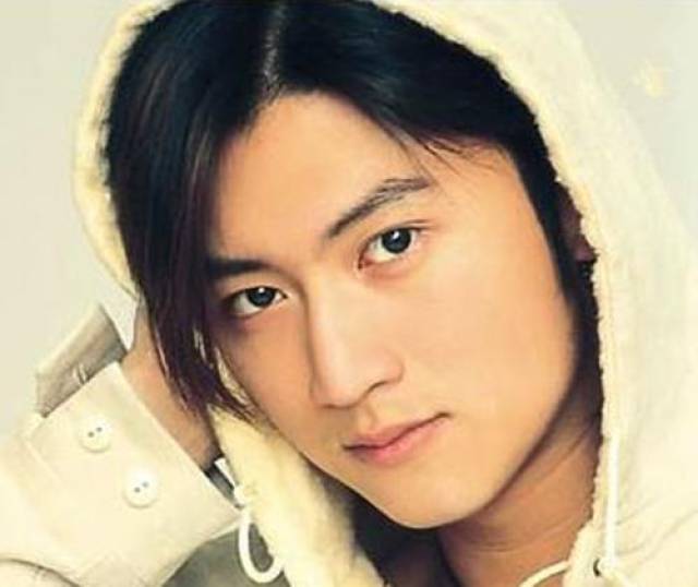 谢霆锋,颜值加上帅气的发型,在当时引起很多的男生留起这样的发型