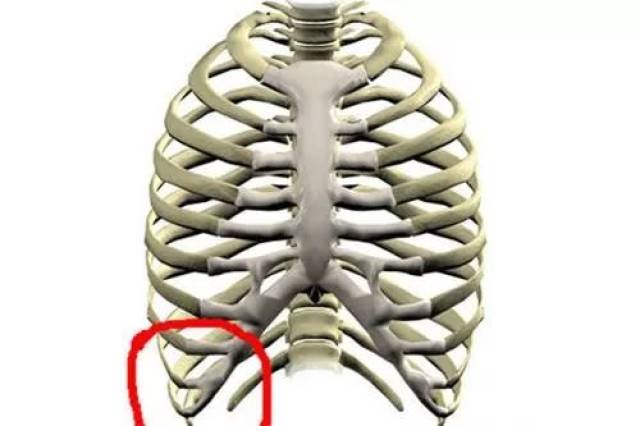 肋骨炎疼痛位置图图片