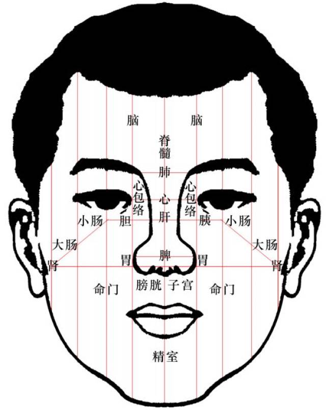 目内眦,目外眦,目内眦的准确位置图片(第12页)_大山谷图库