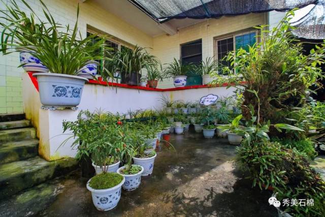 石棉新农村庭院堆满聚宝盆荒山种遍致富草