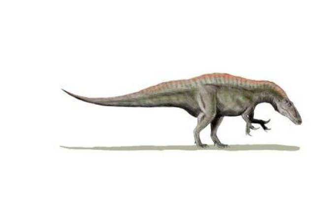 世界最大的恐龙易碎双腔龙长35米比地震龙还庞