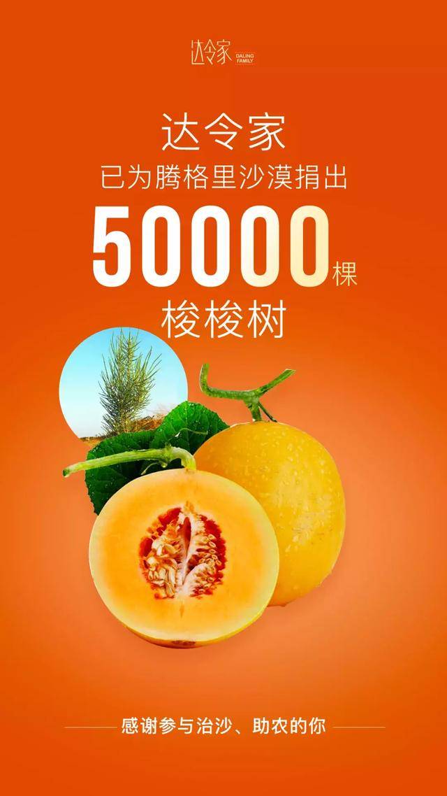 达令家语言哼2小时卖出40吨沙漠蜜瓜达令家是如何做到的