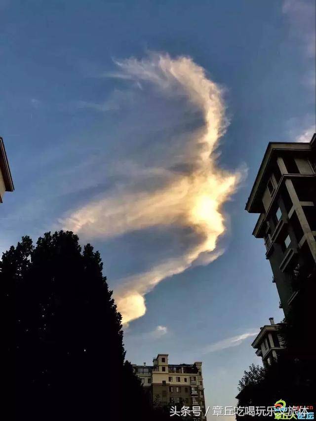 天空有"凤凰",你们看到了吗?