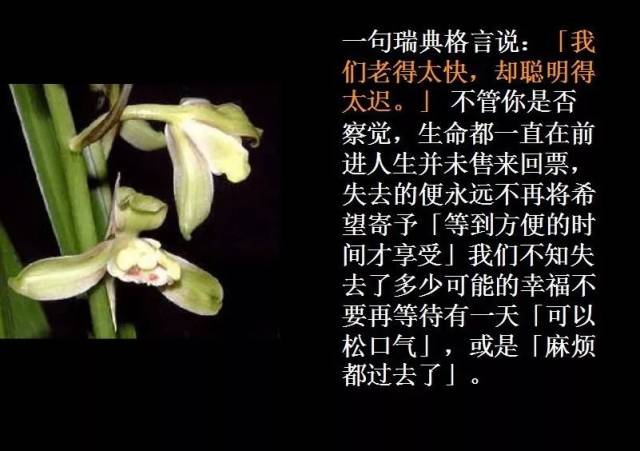 醒悟文字,过来,字图片(第4页)_大山谷图库