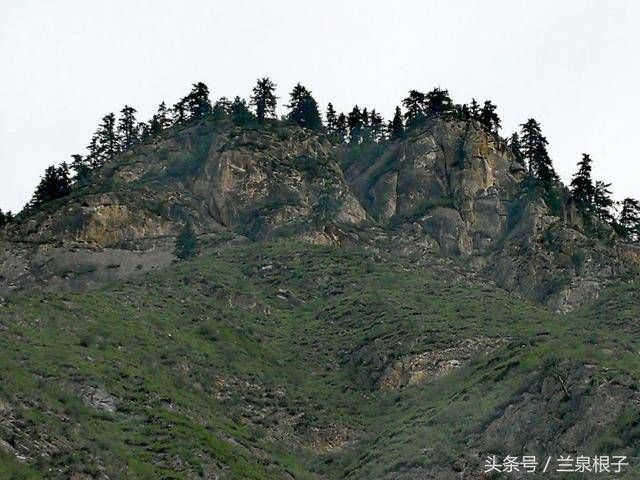 兰州竹林沟您知道吗 是个自然保护区