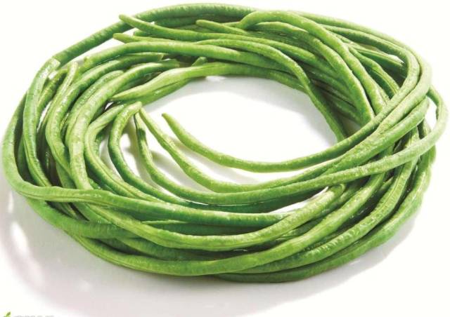 施必达豆角篇施必达5调环酸钙豆角控旺增产效果